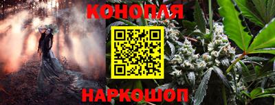 гашик Заводоуковск