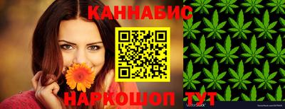 индика Заволжье
